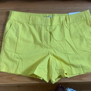 Women’s Loft 4” shorts